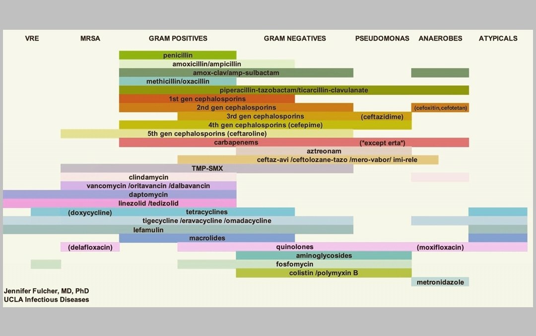 Antibiotic Graph
